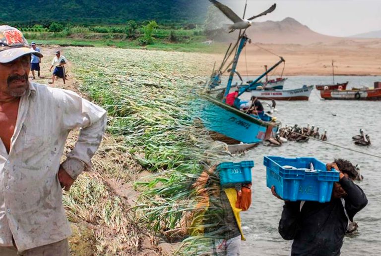 Fen Meno El Ni O Afectar A La Agricultura Y Pesca En El Pa S Rcr Peru