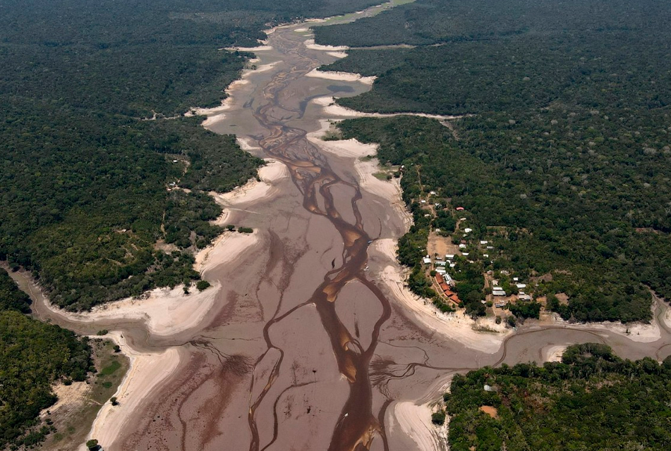 BOSQUE TROPICAL AMAZÓNICO EN EL PERÚ ESTÁ EN RIESGO DE DESAPARECER POR DESFORESTACIÓN Y CAMBIO CLIMÁTICO