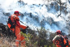 INDECI: SE HA PODIDO CONTROLAR UN 80% DE INCENDIOS FORESTALES EN CAJAMARCA TRAS UN TRABAJO ARTICULADO ENTRE EL GORE, GOBIERNOS LOCALES Y MUNICIPALES