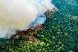 INCENDIOS FORESTALES EN LA AMAZONÍA ALCANZA ALREDEDOR DE 800 FOCOS ACTIVOS