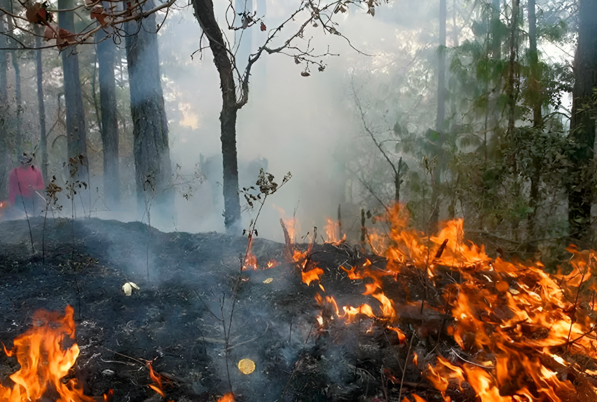 CAJAMARCA: INCENDIOS FORESTALES CONTINÚAN ACTIVOS EN LOS DISTRITOS DE SAN JOSÉ DEL ALTO Y SAN FELIPE