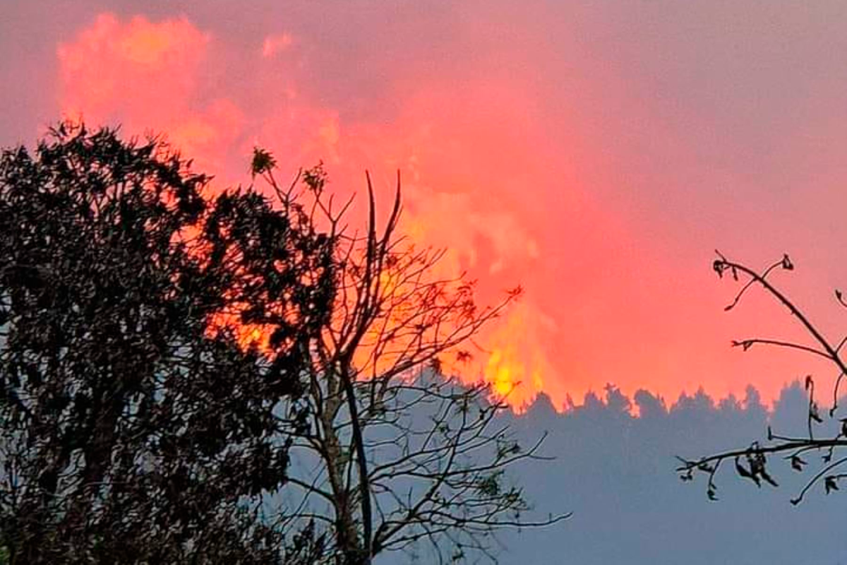 INCENDIO FORESTAL EN CUSCO: 9 MESES DE PRISIÓN PREVENTIVA PARA PRESUNTOS RESPONSABLES