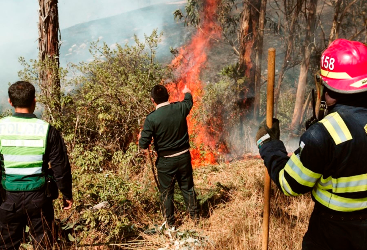 LA LIBERTAD: INCENDIOS FORESTALES ARRASAN CON MÁS DE 1,000 HECTÁREAS DE COBERTURA VEGETAL