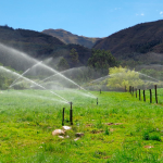 MEF AUTORIZA TRANSFERENCIA DE S/ 27.6 MILLONES PARA 13 PROYECTOS AGRARIOS