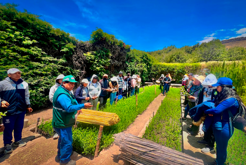 PUNO: MIDAGRI IMPULSA LA EDUCACIÓN FORESTAL CON VISITA GUIADA A ESTUDIANTES DEL INSTITUTO A VIVERO