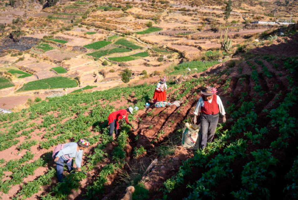 GOBIERNO BENEFICIARÁ A MÁS DE UN MILLÓN DE PRODUCTORES CON PROYECTO “ANDENES Y PAISAJES CULTURALES PRODUCTIVOS”