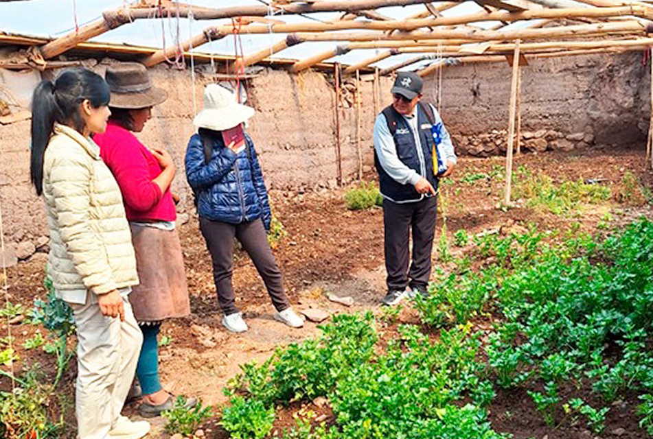 AYACUCHO: MINSA PROMUEVE EL ACCESO A ALIMENTOS SALUDABLES EN COMUNIDADES ALTOANDINAS JUNTO CON LA RED DE MUJERES DE LA AGRICULTURA FAMILIAR