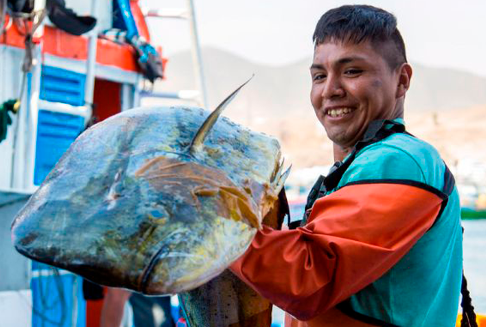 PRODUCE LANZA PROGRAMA DE CRÉDITOS EXTRAORDINARIO CON INTERÉS DE 1% ANUAL PARA PESCADORES ARTESANALES DE POTA Y PERICO