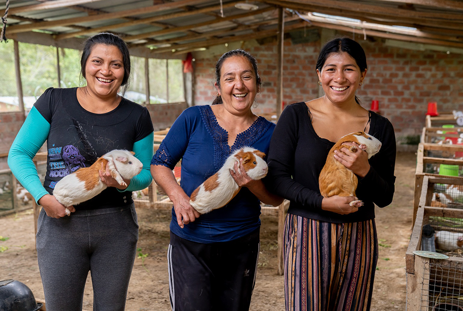 DÍA NACIONAL DEL CUY: MÁS DE 10 000 FAMILIAS DEDICADAS A LA CRIANZA DE CUYES MEJORARON SU CALIDAD DE VIDA GRACIAS A INTERVENCIÓN DEL GOBIERNO EN SUS COMUNIDADES