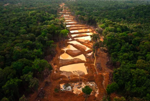 DEBE INICIARSE UN CONSENSO CON LA PARTICIPACIÓN DE GREMIOS MINEROS Y AUTORIDADES DEL GOBIERNO PARA ENCONTRAR UNA SALIDA A LA MINERÍA INFORMAL