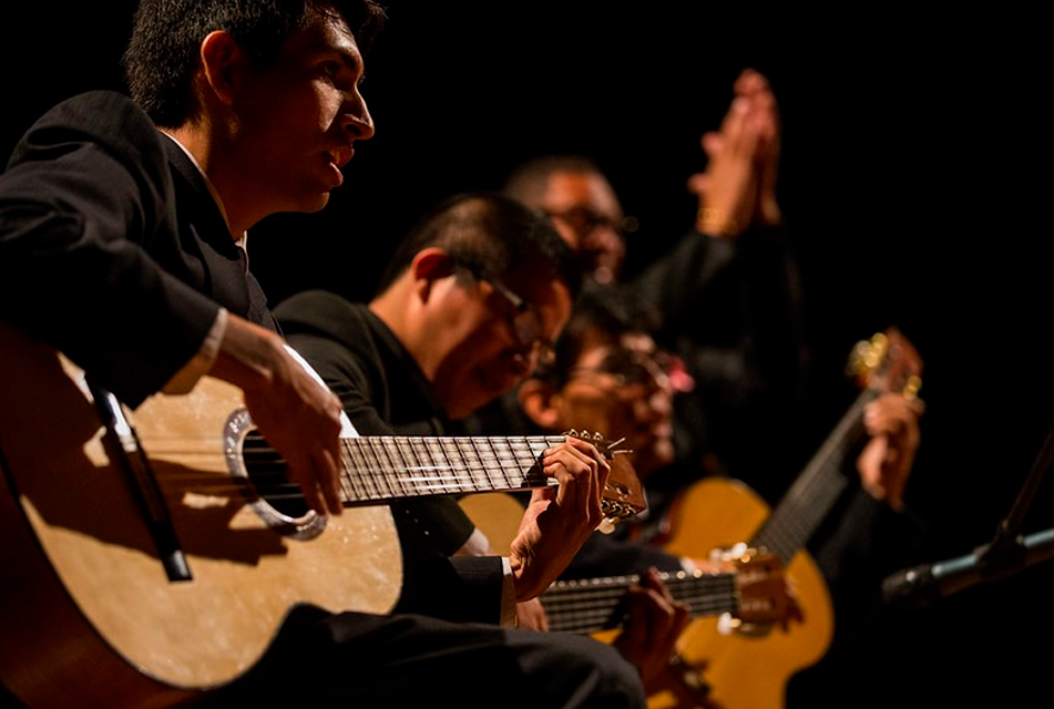 LA MÚSICA CRIOLLA NO ESTÁ PERDIENDO ESPACIO ENTRE LA POBLACIÓN