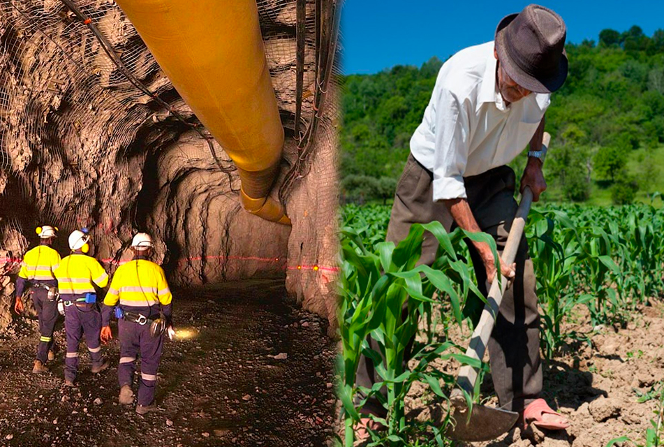 PROYECTO EL ALGARROBO GARANTIZA SOSTENIBILIDAD ENTRE MINERÍA Y AGRICULTURA, Y NO AFECTARÁ NI SIQUIERA UN ÁRBOL