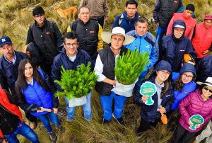 PROYECTO HUELLA VERDE DE NEWMONT FONCREAGRO ESPERA SEMBRAR MILLÓN Y MEDIO DE ÁRBOLES AL 2025