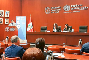 MINSA REALIZA REUNIÓN NACIONAL SOBRE LOS AVANCES Y DESAFÍOS DE LOS SERVICIOS DE SALUD MENTAL COMUNITARIA EN EL PERÚ