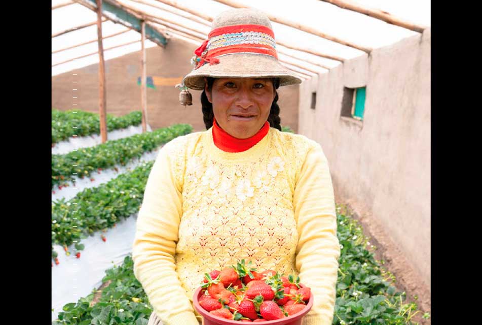 PERÚ ENFRENTA UNO DE SUS PEORES NIVELES DE HAMBRE