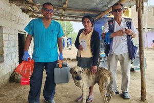 PIURA: MINSA CONTINÚA LA VACUNACIÓN CONTRA LA RABIA EN MÁS DE 189 000 PERROS DE LA REGIÓN