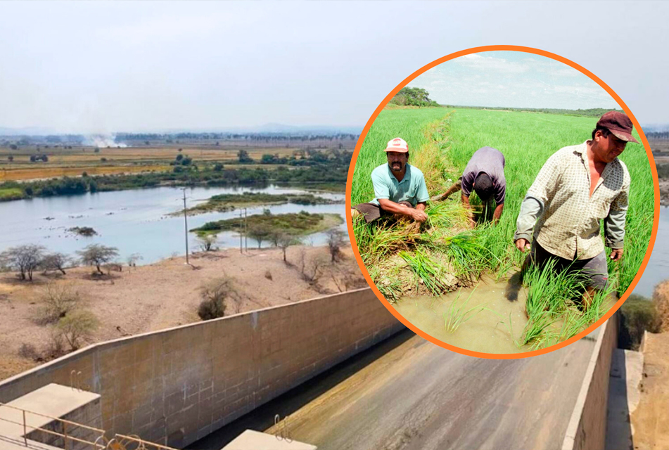 AGRICULTORES DE PIURA EN CRISIS: 60 DÍAS SIN RIEGO Y EXIGEN DECLARACIÓN DE EMERGENCIA