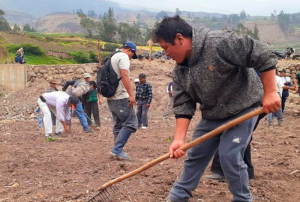 CAMPAÑA AGRÍCOLA EN CAJAMARCA HA SIDO AFECTADA POR LA FALTA DE LLUVIAS Y PRESENCIA DE PLAGAS