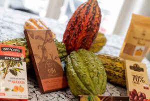 CACAO LOGRA RÉCORD HISTÓRICO DURANTE 2024 CON EXPORTACIONES POR US$ 1,300 MILLONES