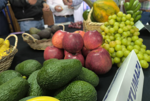 CAJAMARCA: DEL 28 AL 30 DE ENERO SE REALIZARÁ LA FERIA REGIONAL DE LA FRUTA EN EL DISTRITO DE CHILETE PARA MOSTRAR LA DIVERSIDAD DE PRODUCTOS A NIVEL NACIONAL