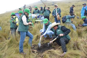 HUELLA VERDE TIENE META DE SEMBRAR UN MILLÓN Y MEDIO DE ÁRBOLES EN CAJAMARCA