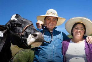 FONCREAGRO SEGUIRÁ TRABAJANDO PARA MEJORAR PRODUCCIÓN LECHERA EN CAJAMARCA