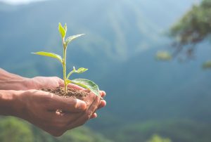 DÍA DE LA EDUCACIÓN AMBIENTAL: CINCO TIPS PARA CUIDAR EL PLANETA… Y TU BOLSILLO