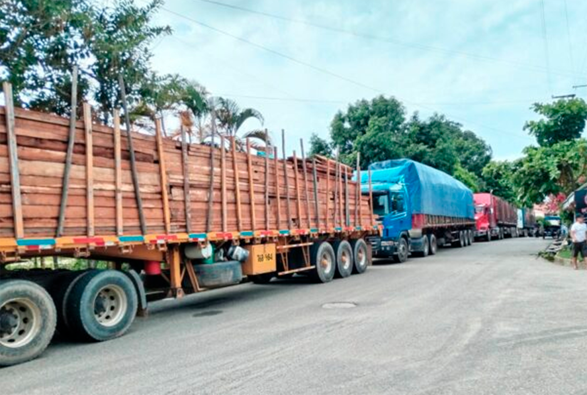 INCREIBLE. SEA LEGAL O NO, ASÍ SE LLEVA LA MADERA DE LOS BOSQUES DEL ALTO AMAZONAS