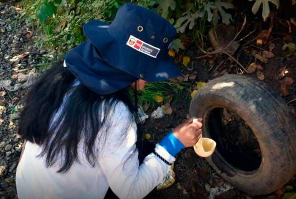 APURÍMAC: MINSA INSPECCIONARÁ MÁS DE 12 000 VIVIENDAS PARA EVITAR LA PROLIFERACIÓN DEL ZANCUDO QUE TRANSMITE EL DENGUE EN ABANCAY