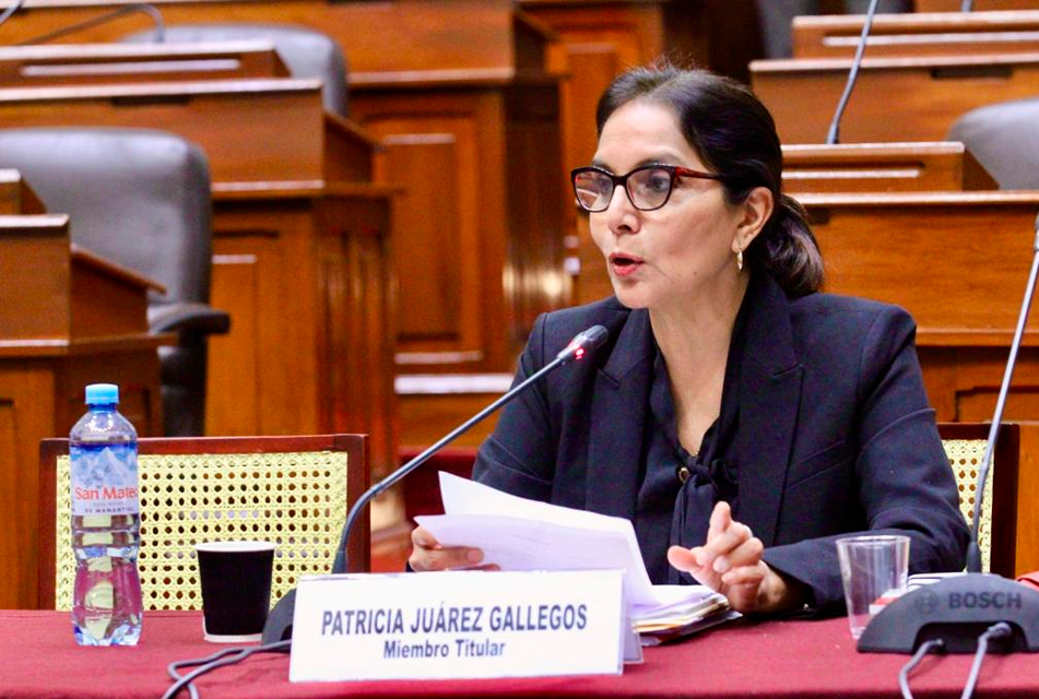 PLENO DEL CONGRESO APROBÓ POR INSISTENCIA EL PROYECTO DE LEY DE PATRICIA JUÁREZ QUE AMPLÍA LOS PLAZOS DEL PROCESO DE FORMALIZACIÓN DE LA PROPIEDAD INFORMAL EN TERRENOS ESTATALES